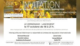 🔴 2024-10-17 | Galerie BOA – Vernissage Exposition EXIL – Monique Brunet-Weinmann et six artistes de réputation internationale